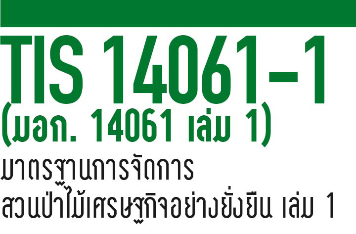 tis14061-1